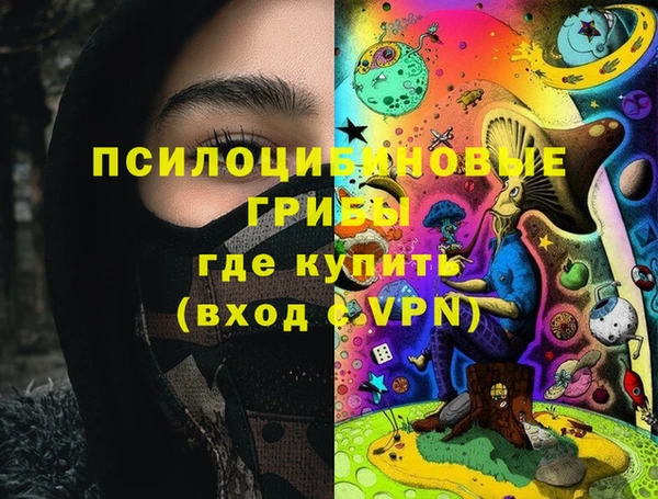 ГАЛЛЮЦИНОГЕННЫЕ ГРИБЫ Алексеевка