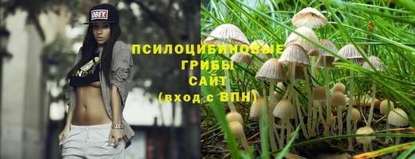 a pvp Алексин